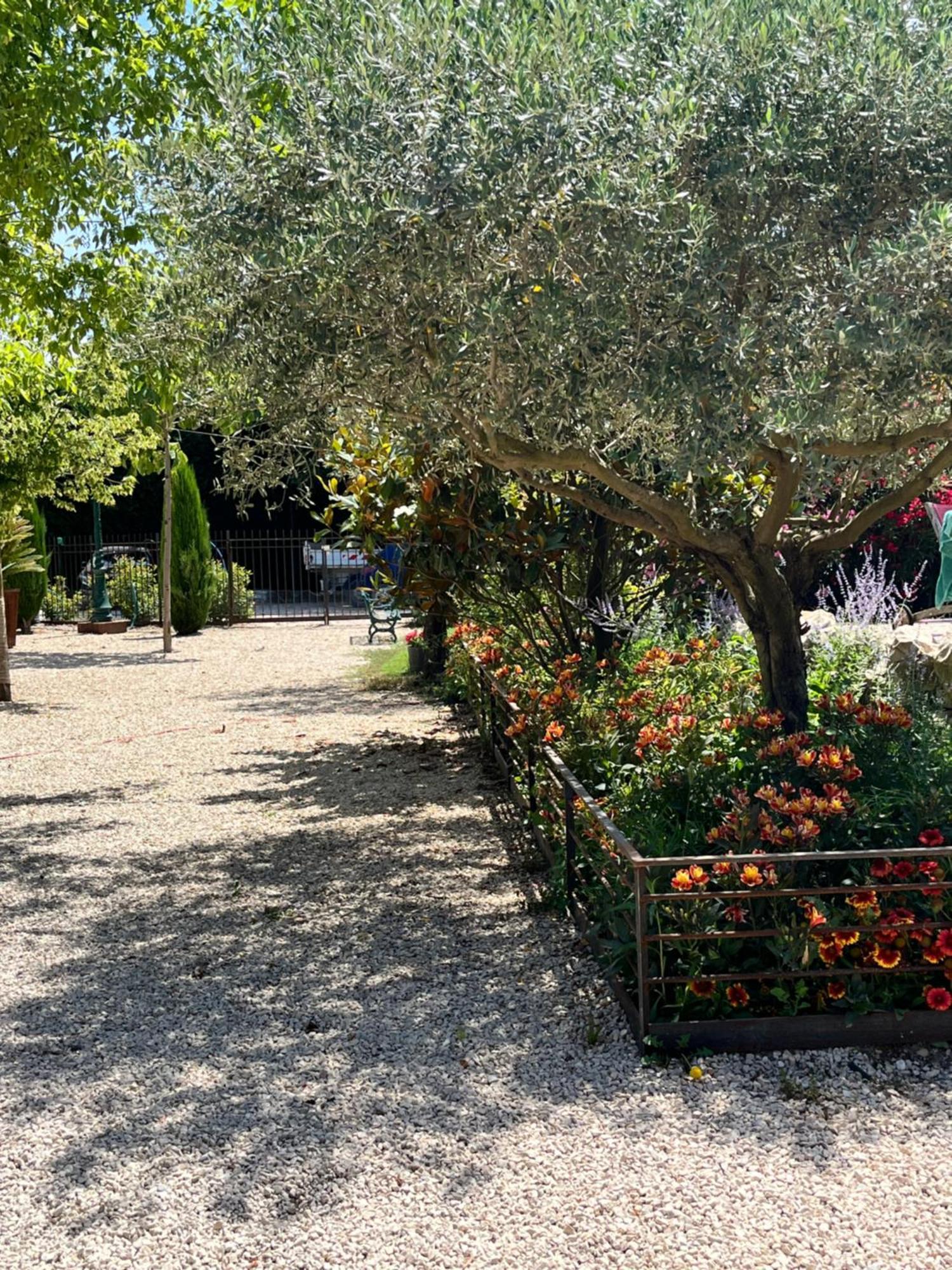 Appartement La Provence Avec Piscine Privative En Campagne à Pernes-les-Fontaines Extérieur photo